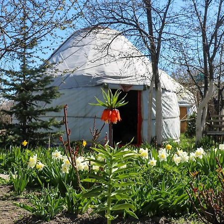 Hotel Yurt In My Garden Karakol Exterior foto